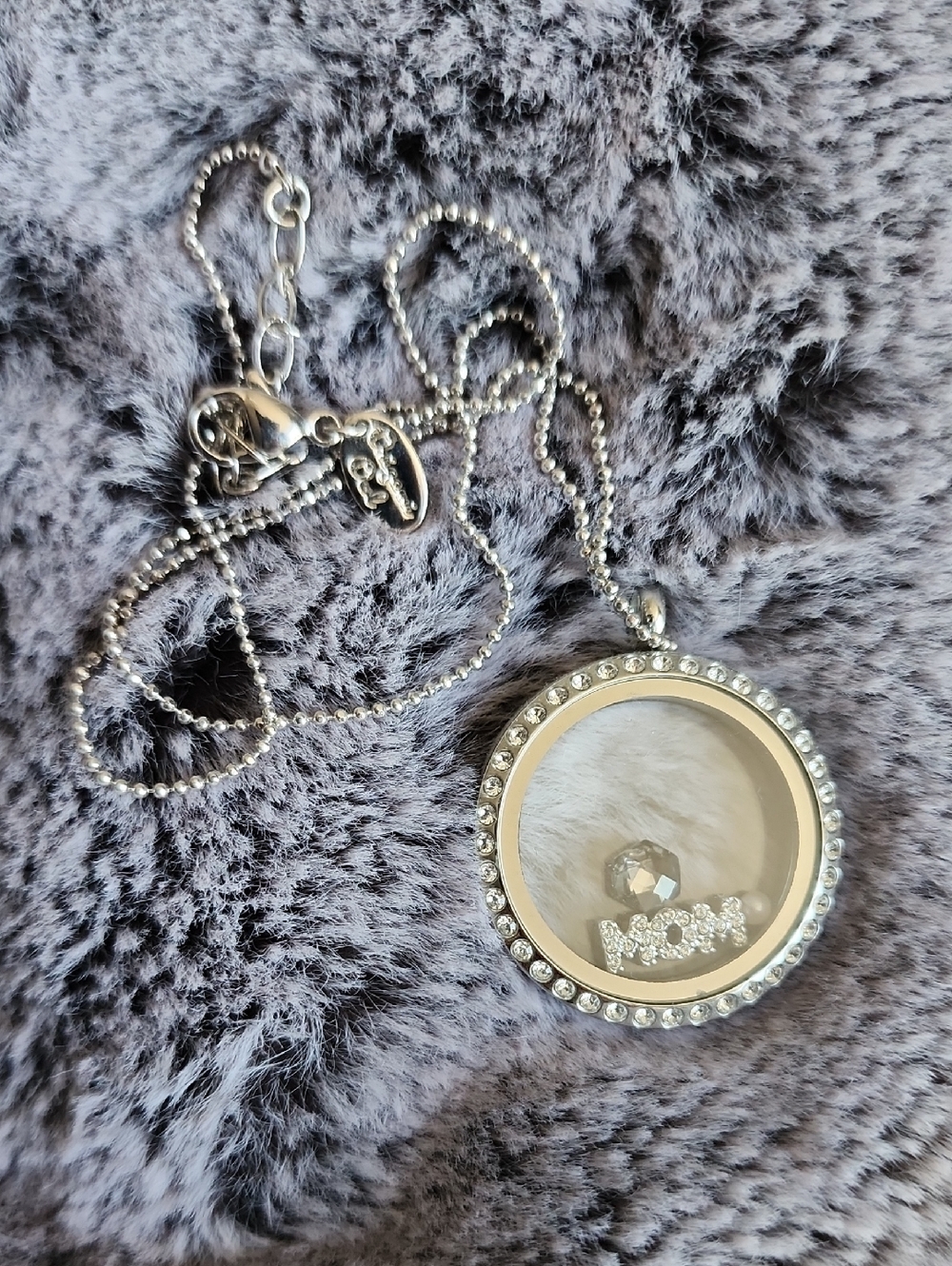 Origami Owl Silver Living Locket Necklace